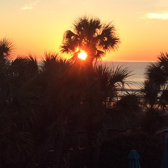 Meet your Posher, Sharon - Picture 1 of 2